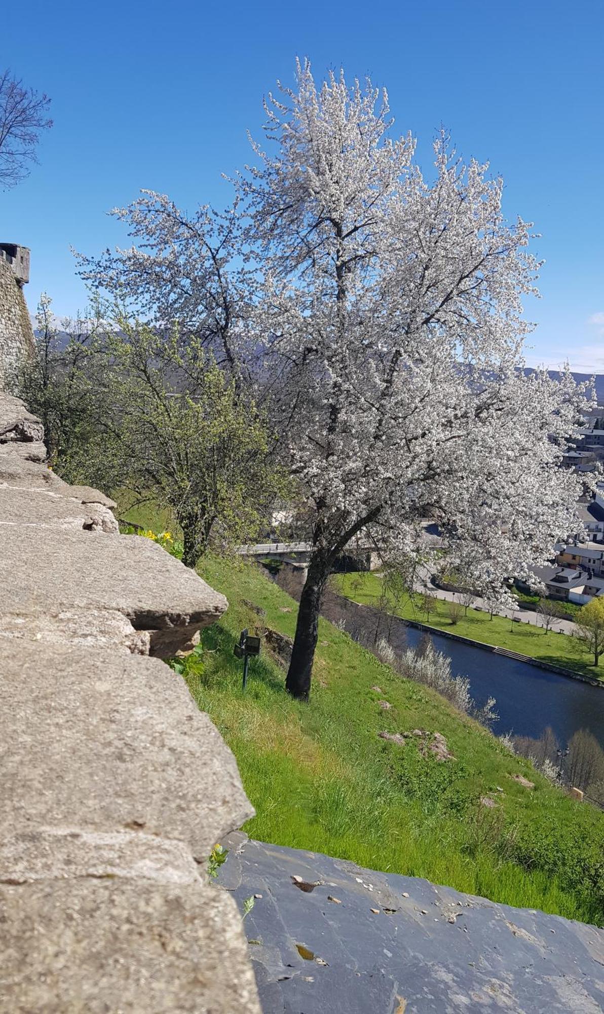 La Artesonada Casa Con Finca Villa Puebla de Sanabria Bagian luar foto