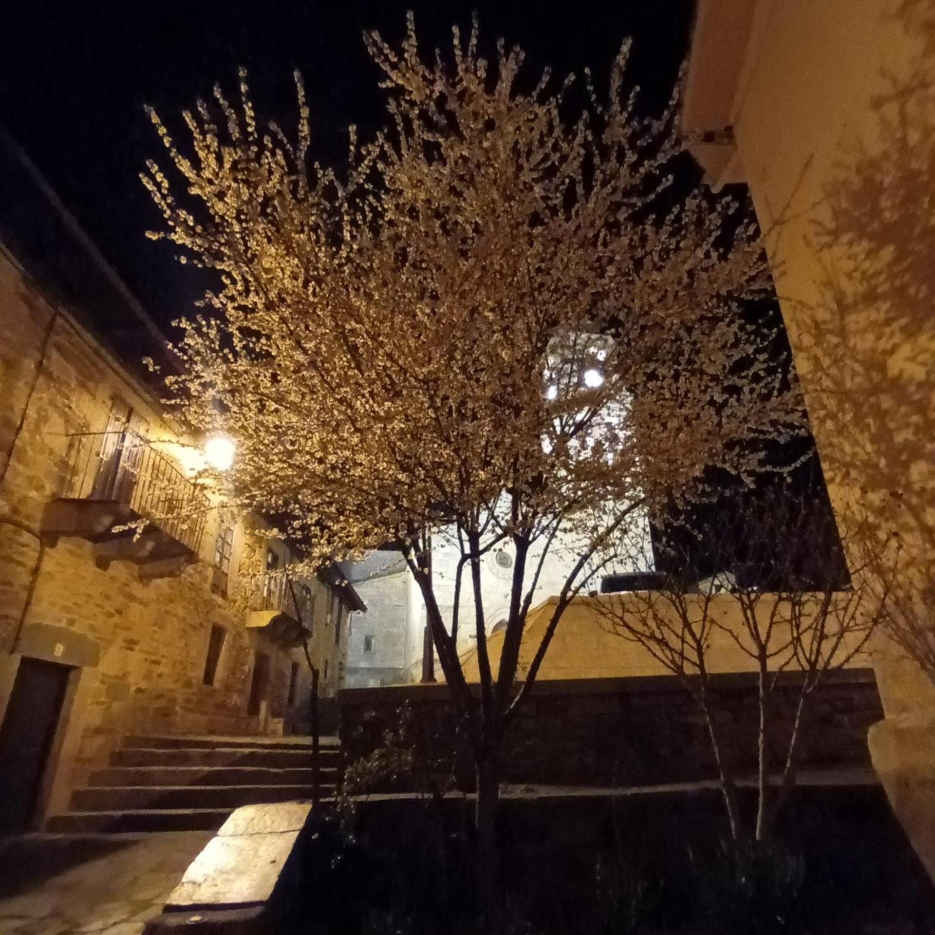 La Artesonada Casa Con Finca Villa Puebla de Sanabria Bagian luar foto