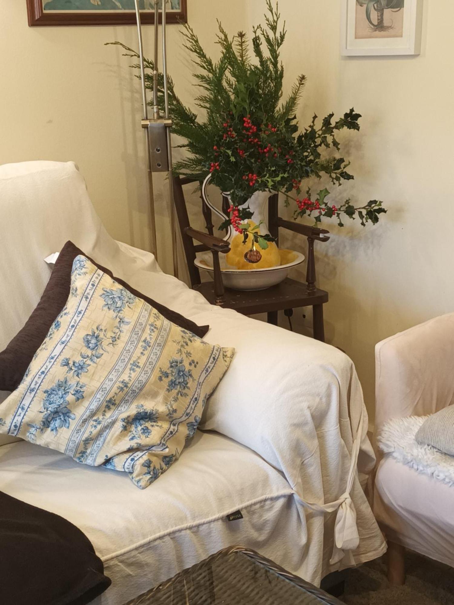 La Artesonada Casa Con Finca Villa Puebla de Sanabria Ruang foto